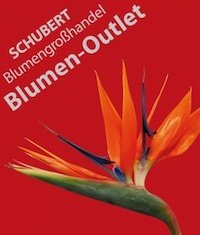 Logo der Firma Blumen-Outlet Schubert