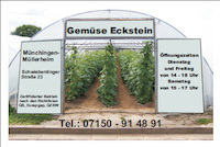 Logo der Firma Eckstein Gartenbau