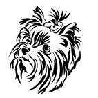 Logo der Firma Pfotenstüberl