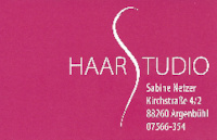 Logo der Firma Haarstudio Netzer