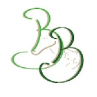 Logo der Firma Naturheilpraxis Birgit Berger