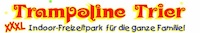 Logo der Firma Trampoline Trier