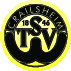 Logo der Firma TSV Crailsheim