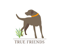 Logo der Firma TRUE FRIENDS GmbH