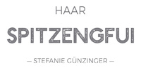 Logo der Firma Haarspitzengfui