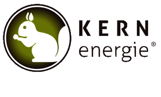 Logo der Firma KERNenergie