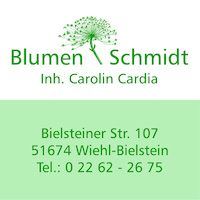 Logo der Firma Blumen Schmidt