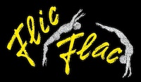 Logo der Firma Flic Flac Tour GmbH