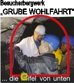 Logo der Firma Grube Wohlfahrt