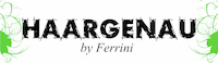 Logo der Firma Haargenau by Giulia Ferrini