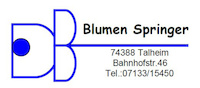 Logo der Firma Blumen Springer