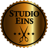 Logo der Firma Studio Eins