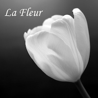 Logo der Firma La Fleur