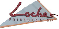 Logo der Firma Friseur-Team-Locher Emilie Locher