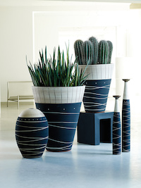 Logo der Firma Beiermeister GmbH - Hydrokulturen