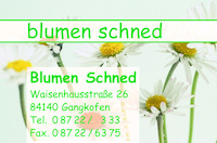 Logo der Firma Gärtnerei und Blumenfachgeschäft Schned