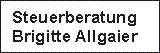 Logo der Firma Steuerberaterin Brigitte Allgaier