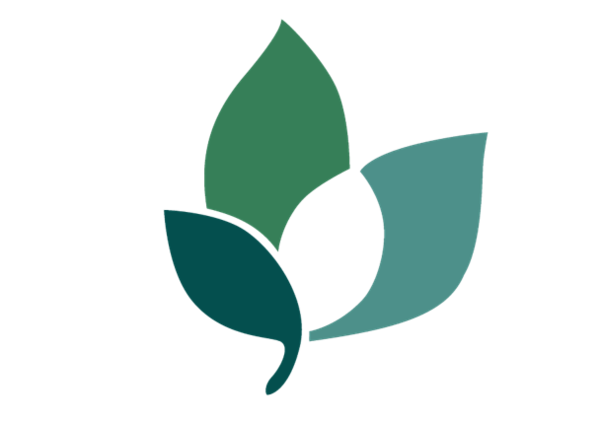 Logo der Firma Ulrich Messemer Teehandel