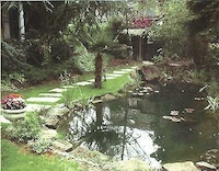 Logo der Firma Knoch GmbH Garten- und Landschaftsbau, Baumschule