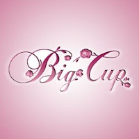 Logo der Firma Big Cup Dessous