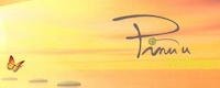 Logo der Firma Pinu'u Wellness