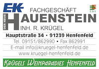 Logo der Firma Hauenstein